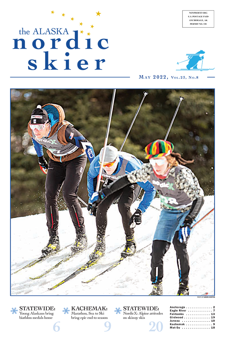 2022_nordic_skier_icon